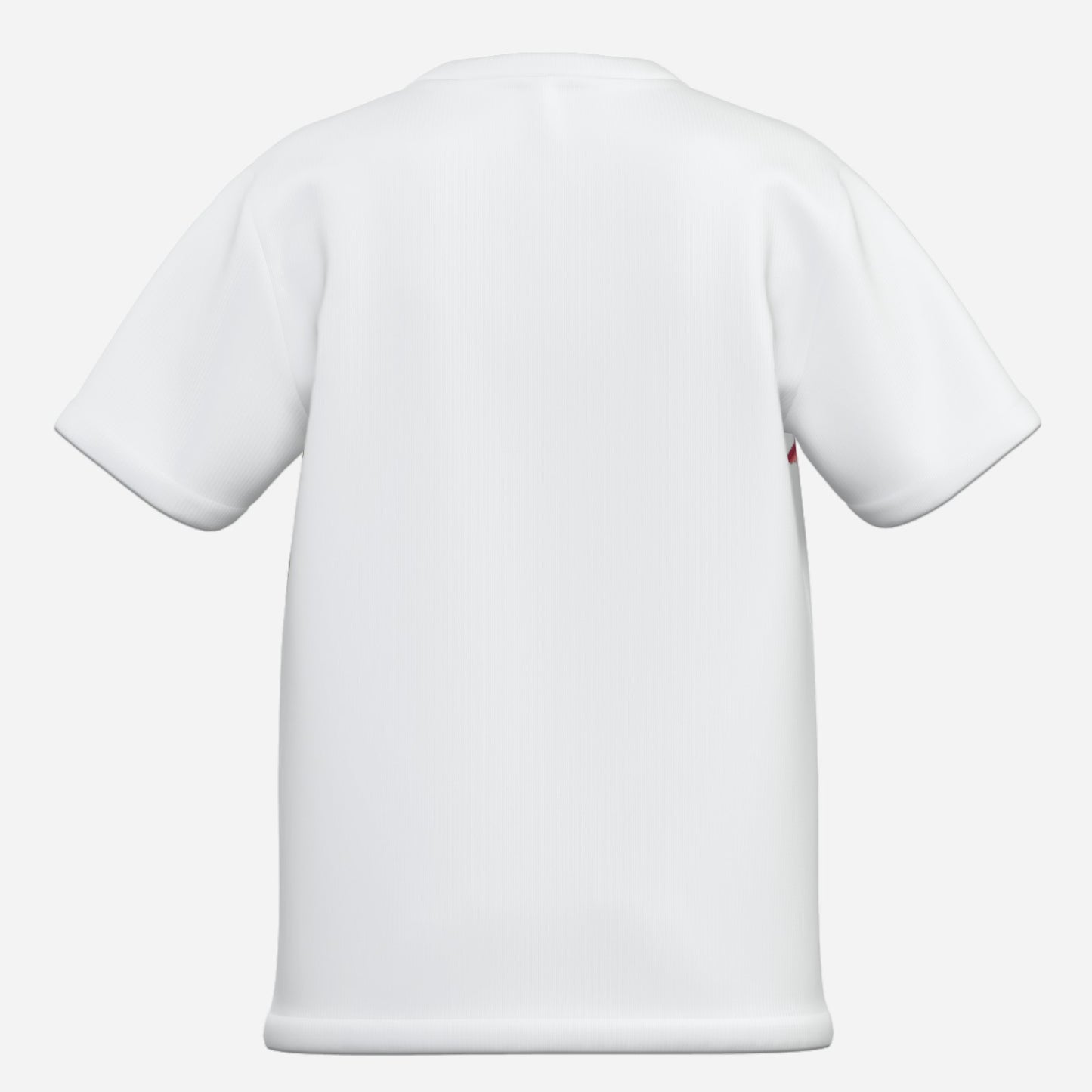 Lustiges Kinder Dino T-Shirt aus Baumwolle Imitat